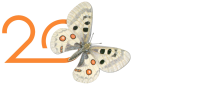 logo scritta bianca